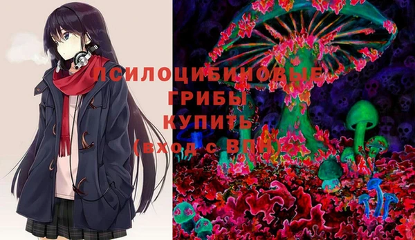 соль курить ск Алзамай