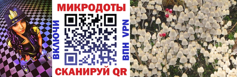 где купить   Новая Ляля  МЕГА ТОР  Псилоцибиновые грибы прущие грибы 