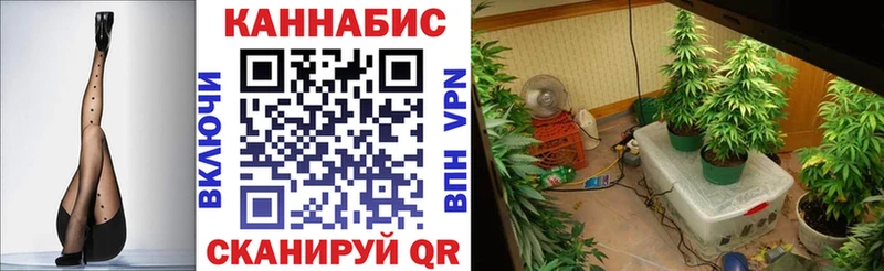 МАРИХУАНА гибрид Новая Ляля